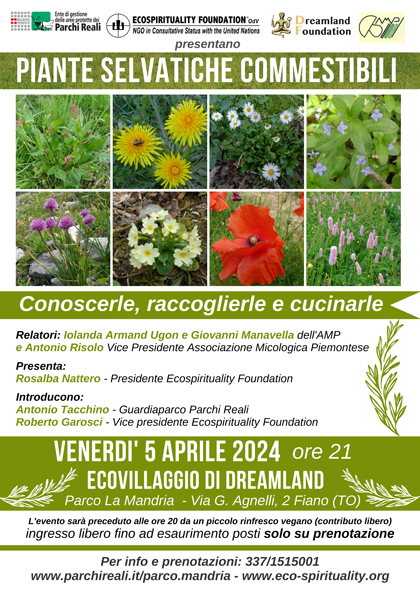 Conferenza Piante-selvatiche-commestibili Ecovillaggio di Dreamland 05 aprile 2024