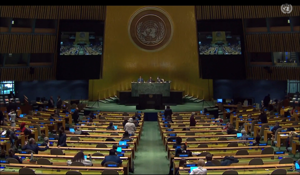 Meeting della Terza Commissione dell�Assemblea Generale dell�ONU con la Civil Society