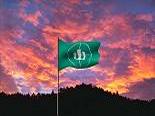 Banner EF 0