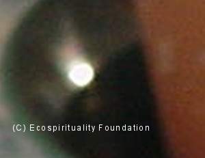 L'incontro con la Earth Light 