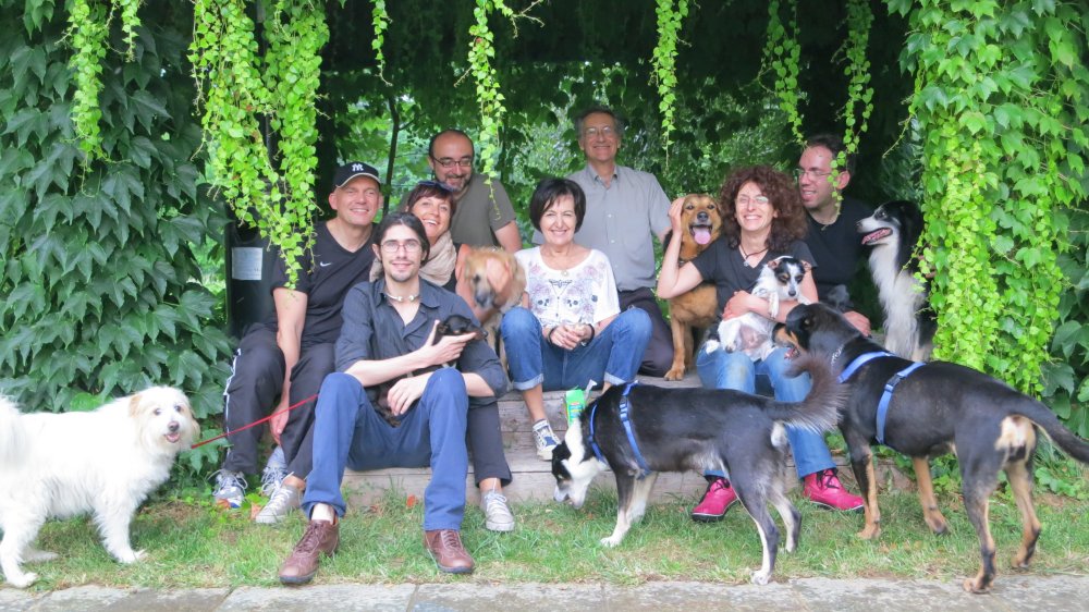 Rosalba Nattero con un gruppo di volontari di SOS Gaia e alcuni dei cani salvati e assistiti dall’associazione Rosalba Nattero con un gruppo di volontari di SOS Gaia e alcuni dei cani salvati e assistiti dall’associazione
